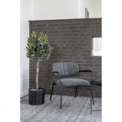 House Nordic Alicante Lounge Sessel - 61,5x72x68,5 Cm - Dunkelgrau -Qeeboo shop unnamed file 336