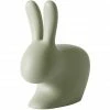 Qeeboo Rabbit Chair Stuhl - 68,8 X 39,5 X 80 Cm - Balsam Green -Qeeboo shop unnamed file 445